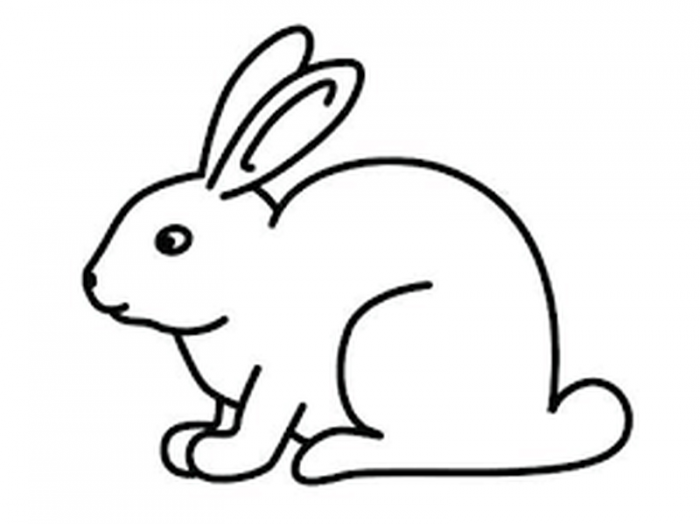 rabbit.png