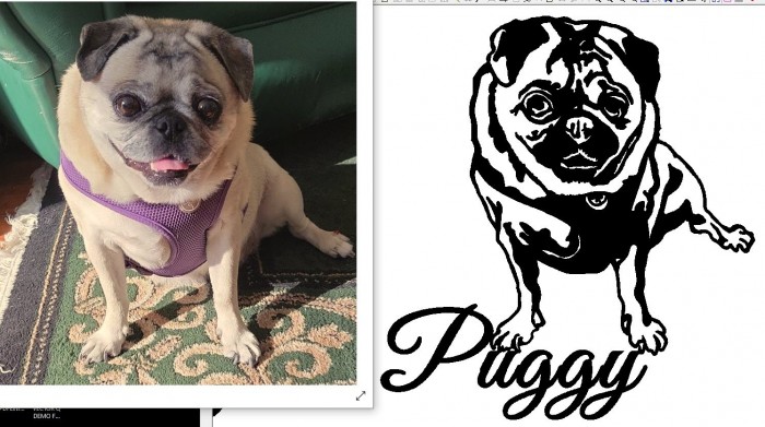 PUGGY DUO.jpg