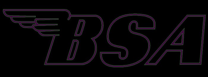 BSA logo.dxf image 1.jpg